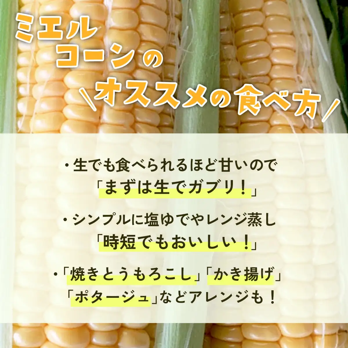 とうもろこし ミエルコーン 約6kg 茨城県産 トウモロコシ