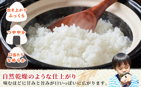 ＜令和7年産 コシヒカリ 5kg＞国産 白米 精米 5キロ 愛媛県産 宇和町産 宇和米 こしひかり お米 米 コメ こめ ご飯 うわまい ライス 特別乾燥米 産地直送 送料無料 特産品 福井ファーム 愛媛県 西予市【常温】『2025年12月中旬から順次発送予定』UFF0001