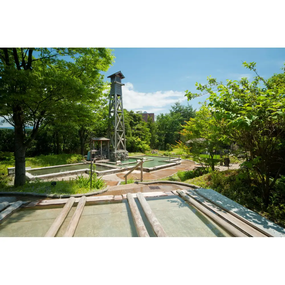 【能登半島地震復興支援】辰口温泉 たがわ龍泉閣「吉祥亭」ペアー宿泊券