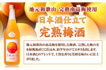 焼酎 焼酎黒潮波 完熟南高梅うめのわ 完熟梅酒 720ml 2本セット 