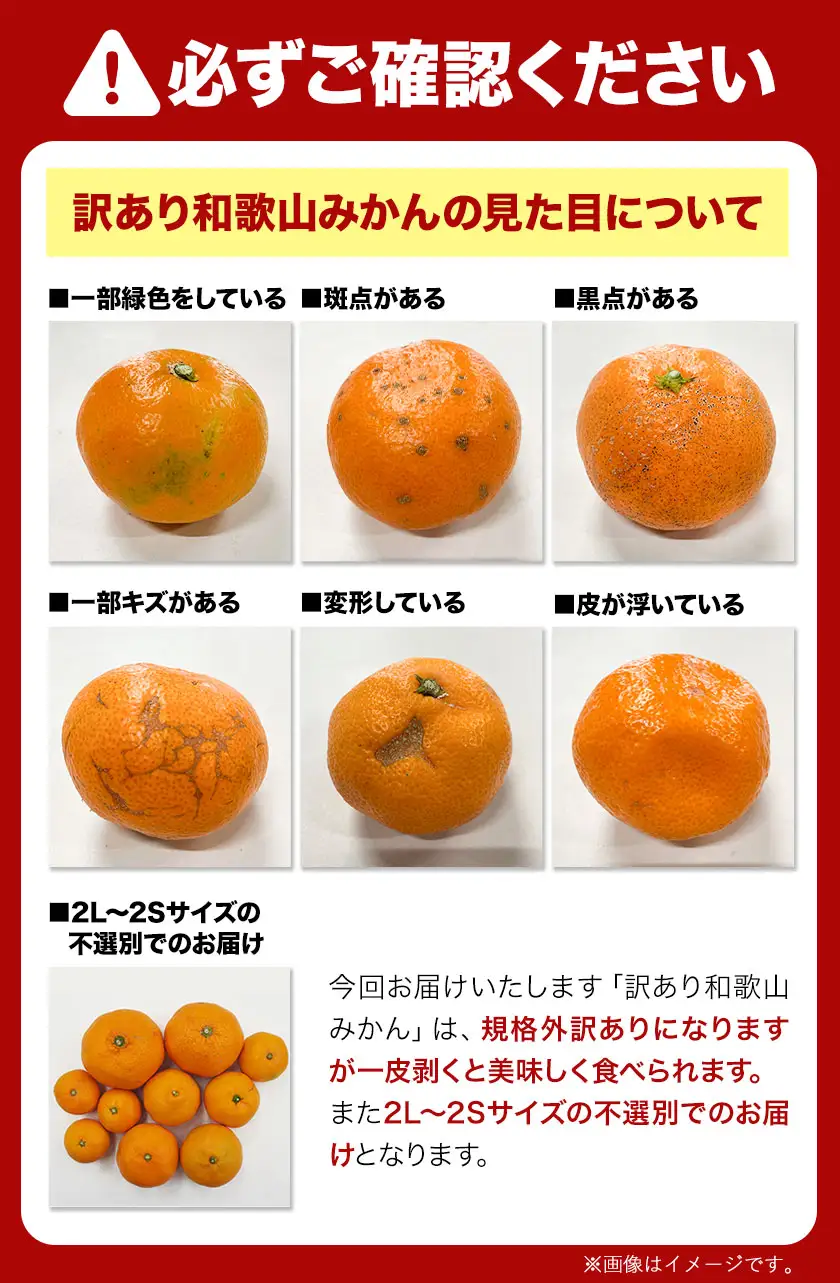 みかん ご家庭用みかん 約5kg