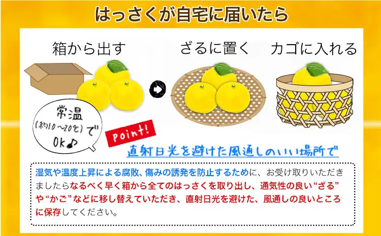訳あり はっさく八朔 約9kg