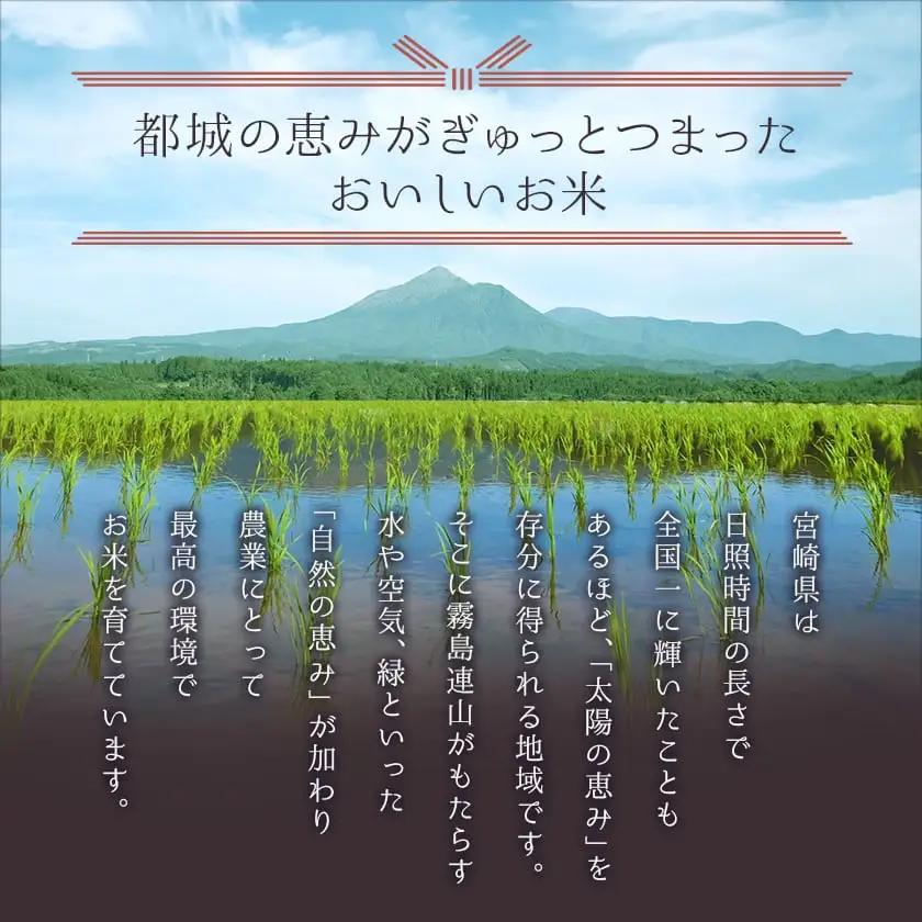 都城産ひのひかり10kg(5kg×2袋)〔24-A701〕_ お米
