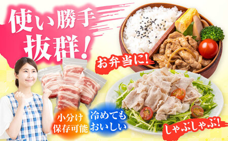 五島美豚 焼肉2kg (ロース1kg/バラ1kg) 五島市/ごとう農業協同組合[PAF053]