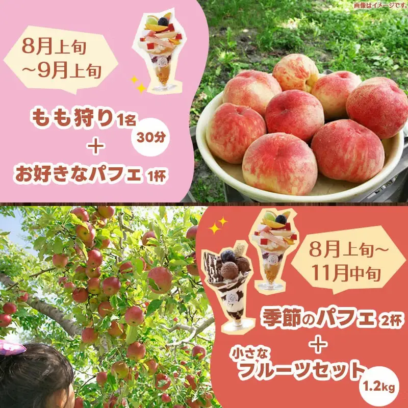 王将果樹園 & カフェ 体験 プラン チケット くだもの狩り 山形県 天童市