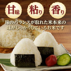 【令和6年度米】合鴨農法米 白米 幻の米 農林48号2kg×2 [h048]