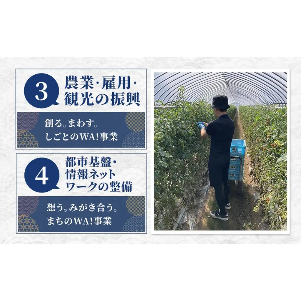 寄附のみ 富良野市 応援受付 寄附のみ【65,000円コース】