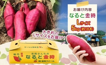 【予約受付中・2026年10月頃より順次発送】「吉岡さんちのなると金時」 Lサイズ 5kg
