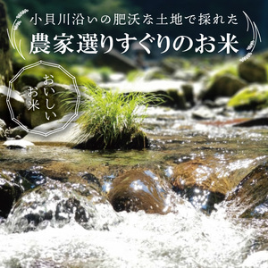 【数量限定】【期間限定】R7年産取手市産コシヒカリ 玄米5kg|お米 米 こしひかり コシヒカリ 玄米 茨城県 取手市（BS003）