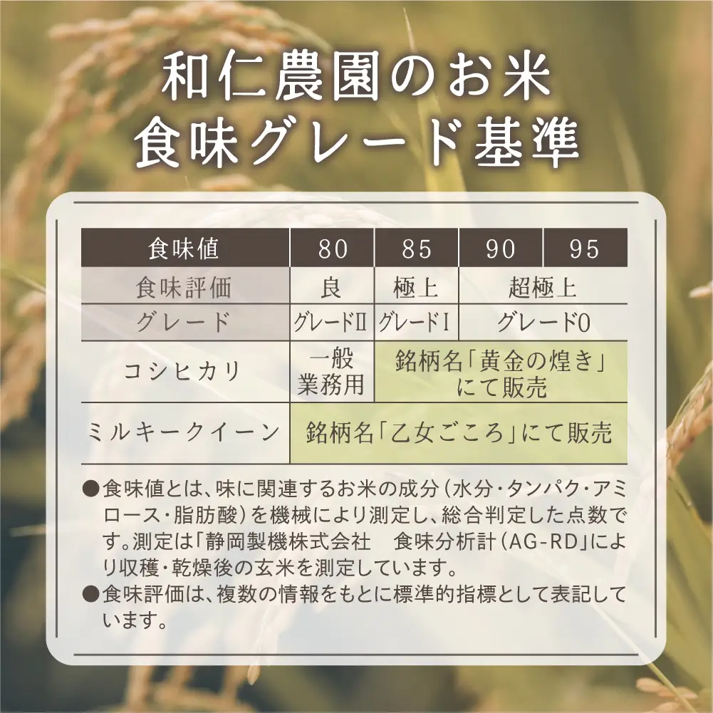 【新米 先行予約】【定期便 6ヶ月】（全6回）令和8年産 飛騨産コシヒカリ「黄金の煌き」5kg | 新米 米 お米 白米 こしひかり 世界最高米 原料米認定農家 金賞受賞農家 飛騨高山 和仁農園 MF104-26