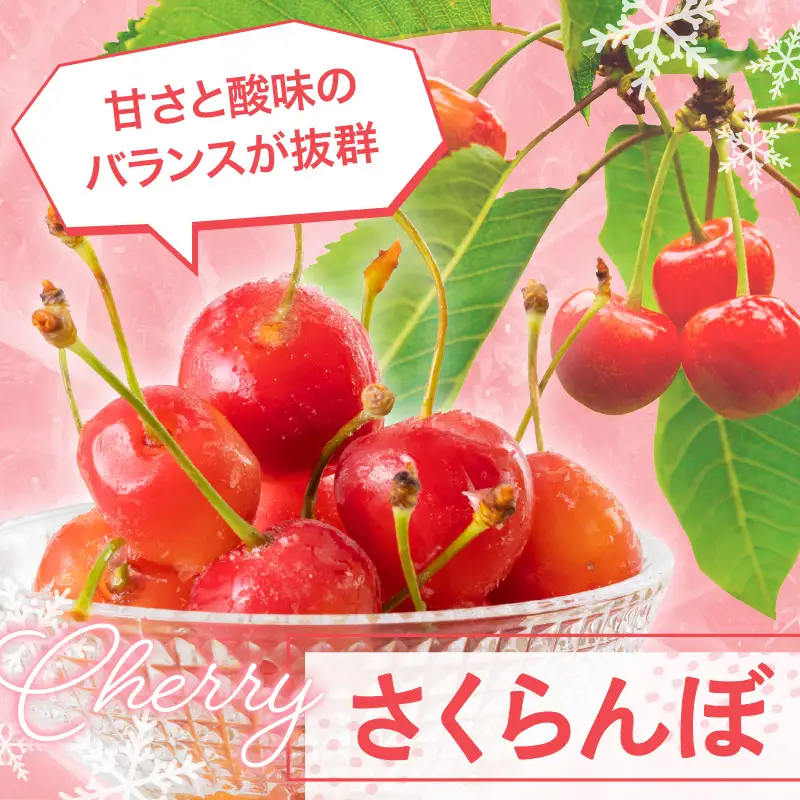 氷のめぐみ ( さくらんぼ ) 冷凍フルーツ 果物 山形 フルーツ