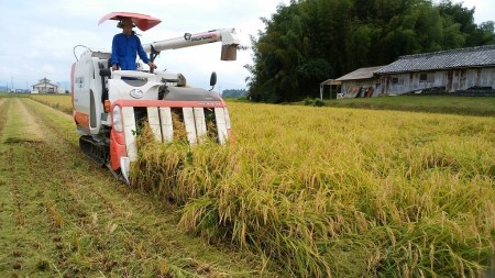 【令和8年産】新米 有機肥料100％使用！門外不出のコシヒカリ 10kg