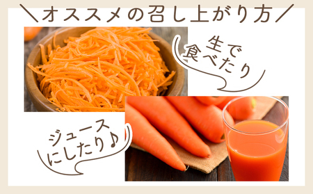 【2026年11月以降発送】にんじん ３ｋｇ 家庭用 yr-0137