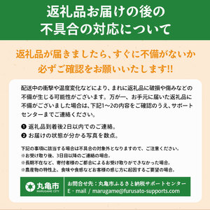 先行予約 いちご さぬきひめ 約500g いちご