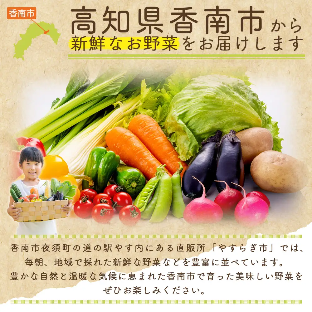 【2026年11月末以降発送】ブロッコリー １ｋｇ 家庭用 yr-0086