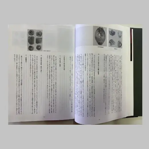 町史 第三巻 歴史編 与那国島 C005 郷土史 資料 地理 地名 調査資料 研究資料 史料