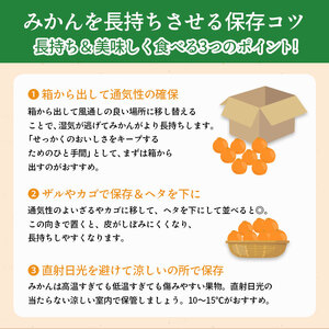 先行予約 小原紅早生みかん 約1.2kg みかん