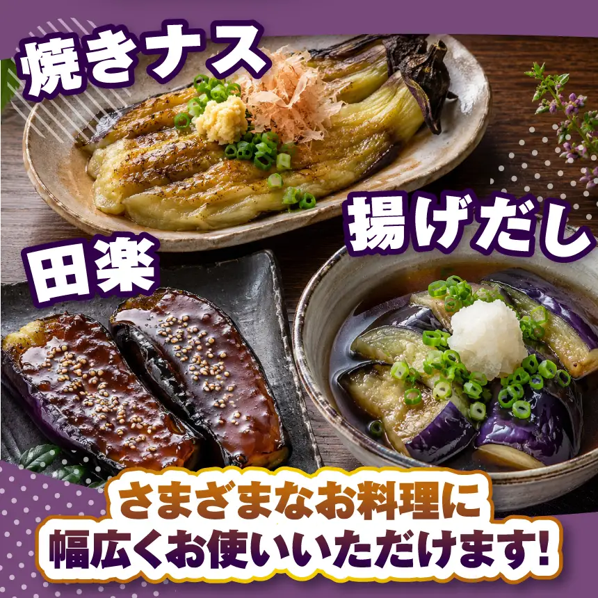 【先行予約】 令和8年9月頃から順次発送 信州伝統野菜 天龍村産ていざなす2本セット（１本450ｇ～650ｇ）☆レシピ付き☆