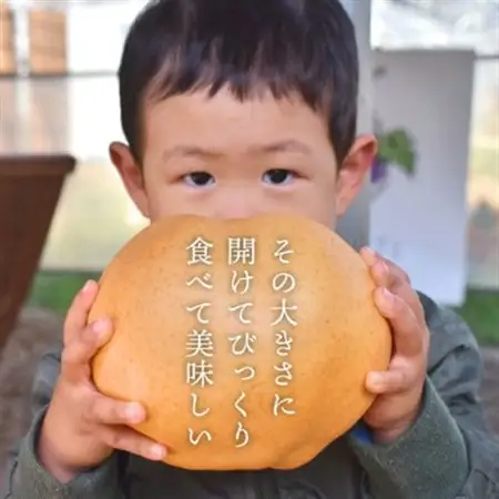 【2026年発送】あたご梨 上級品 2玉入(1.2kg級/玉)(岡山県産) お歳暮やギフトにおすすめ【1559963】