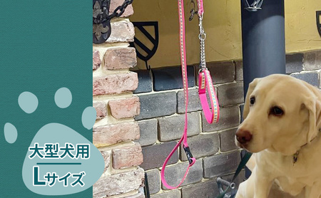 【大型犬用・Lサイズ】 ハーフチョークカラーとリードのセット（オレンジに落ち着いた緑） ペット用品 首輪 リード 大型犬 レトリバー ペット 犬 ワンちゃん セット 浜松市