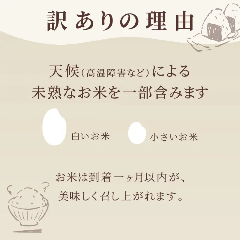 ≪ 定期便 6ヶ月 計 30kg ≫ 訳あり無洗米 5kg 令和7年産 がばいU米(うまい)  佐賀県産 米 お米 こめ コメ 白米 五つ星 お米マイスター厳選 鳥栖市ふるさと納税限定 弁当