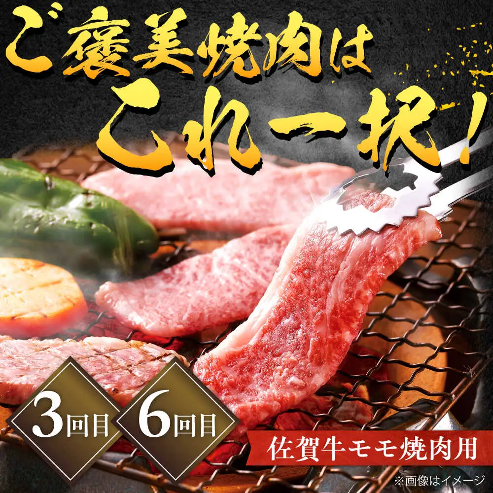【全6回定期便】佐賀牛 赤身 お一人様ご褒美定期便 計1.4kg（ヒレステーキ・モモスライス・モモ焼肉）吉野ヶ里町/やま田商店[FCH029]