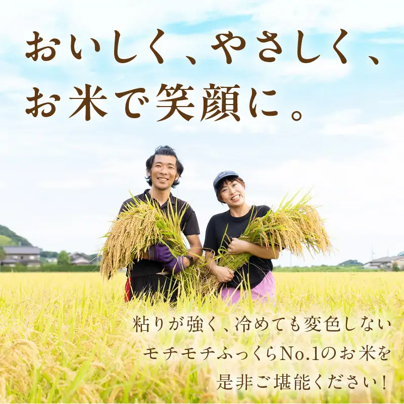 2026年産 京丹後米 特別栽培米コシヒカリ 玄米・白米 各5kg 白米 玄米 ふるさと納税 米 精米 お米 ご飯 ごはん コシヒカリ 京丹後産