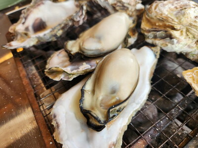 飛田水産 石川県七尾産 能登かき 殻付き3分缶 ※要加熱 ※2027年1月～発送 ｜ 牡蠣 殻付き