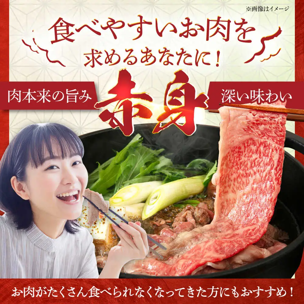 【全12回定期便】希少和牛！糸島和牛 赤身（モモ・ウデ） スライス 500g 糸島市 / トラヤミートセンター 牛肉 すき焼き[AJD015]