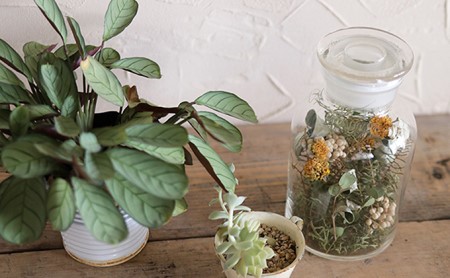 ボタニーク ＊ガラスボトルアレンジ【富良野 花七曜 】 植物 インテリア ドライフラワー 