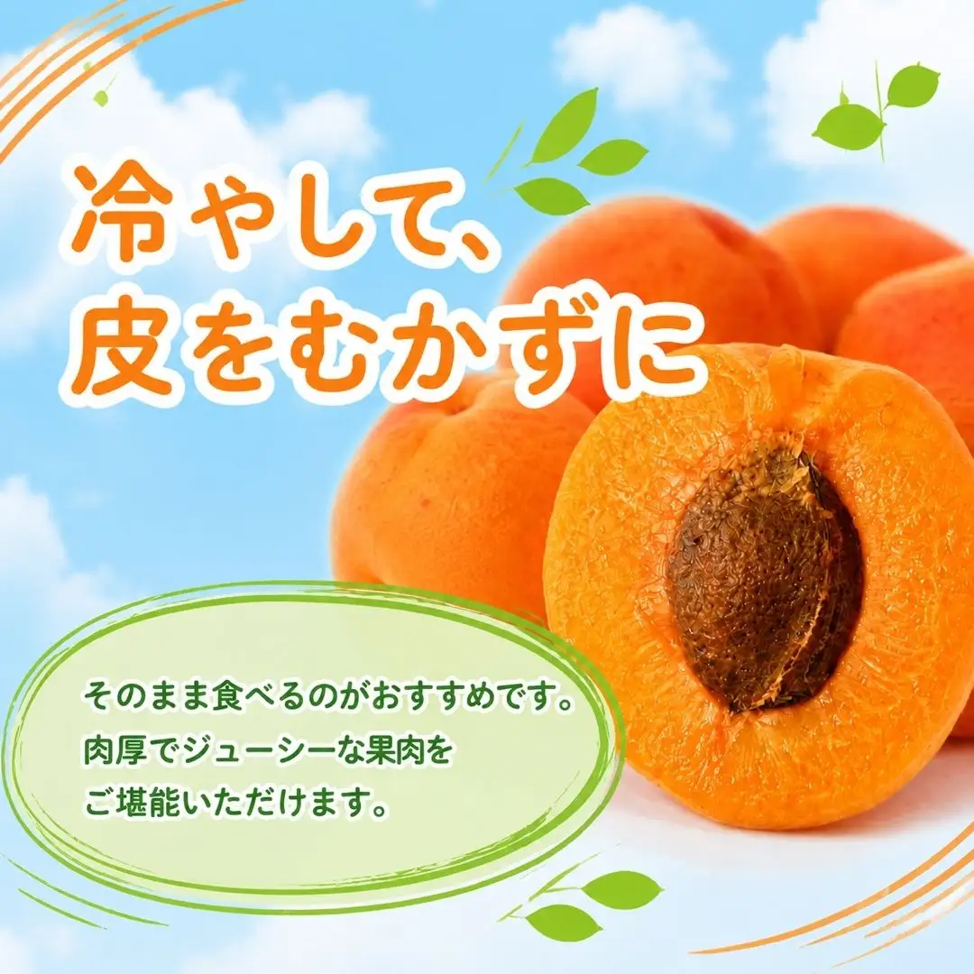 【2027年先行予約】あんず ハーコット(生食/皮ごとOK) 約2kg | あんず
