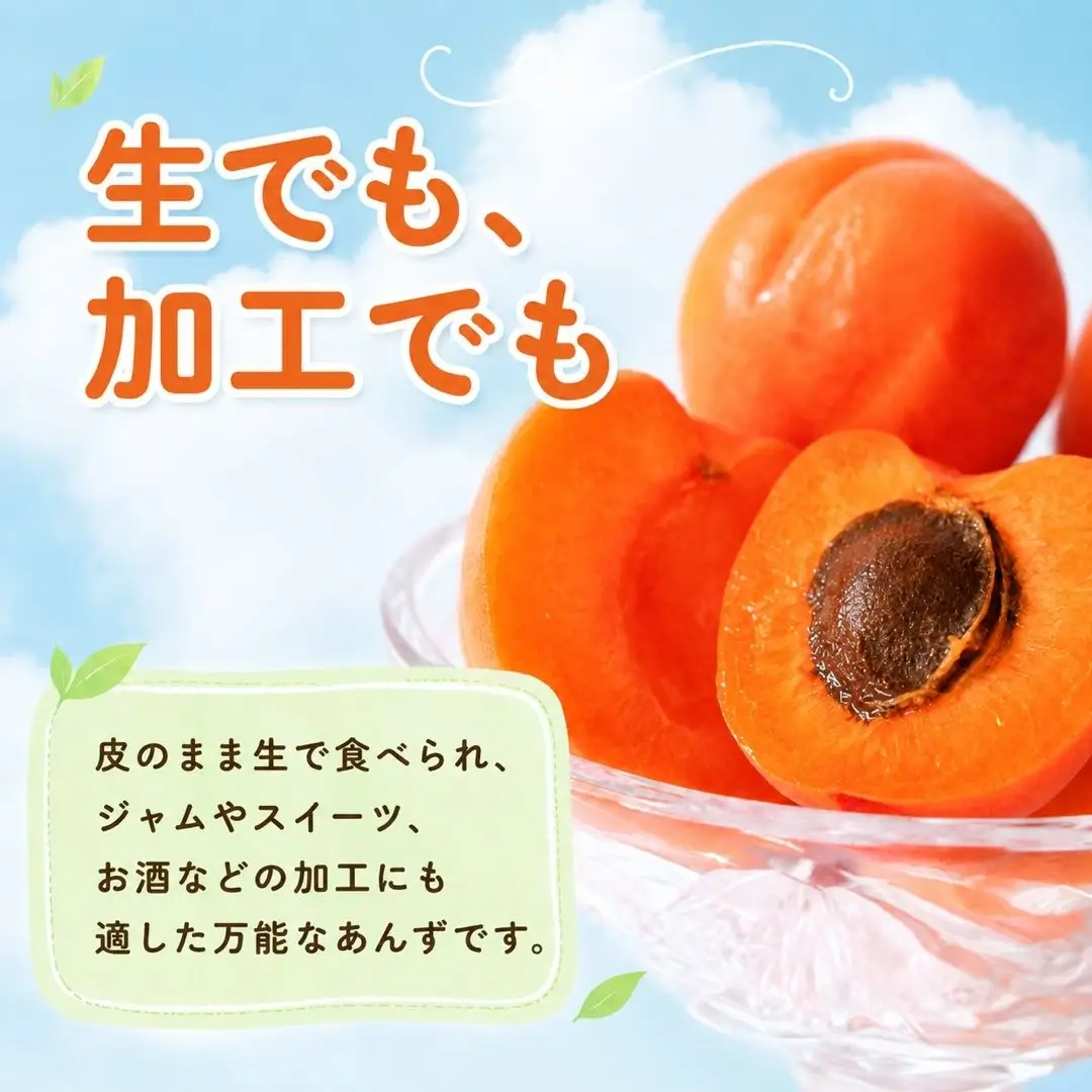 【2027年先行予約】あんず 信州サワー(長野県オリジナル品種) 約2kg |あんず シロップ漬け 千曲市産 長野県 信州