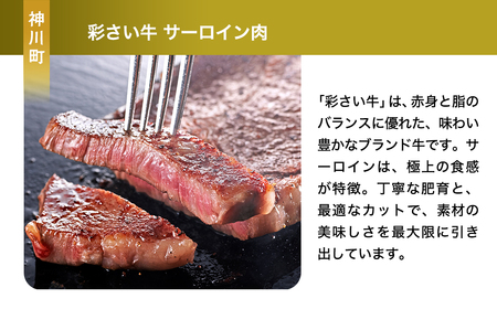 【お肉】BBQ セット | 豚肉 牛肉