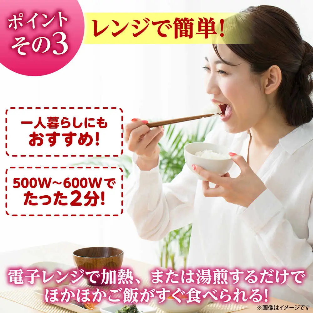 夢つくし パックご飯 200g×24P VEP001 パックご飯