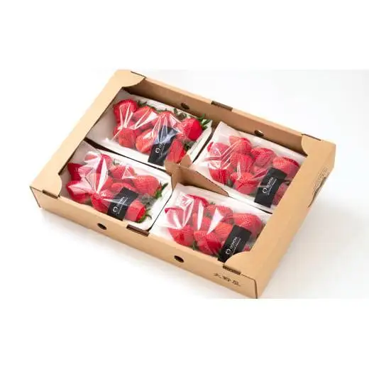 【先行予約】苺大野屋「やよいひめ＆さがほのか」厳選いちご 食べ比べセット 250g×４パック 約１kg 宮崎県 西都市産＜28-6a＞果物 くだもの フルーツ 宮崎県 西都市