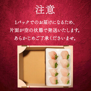 【期間限定】 白いちご 計 200g ｜ 白いちご