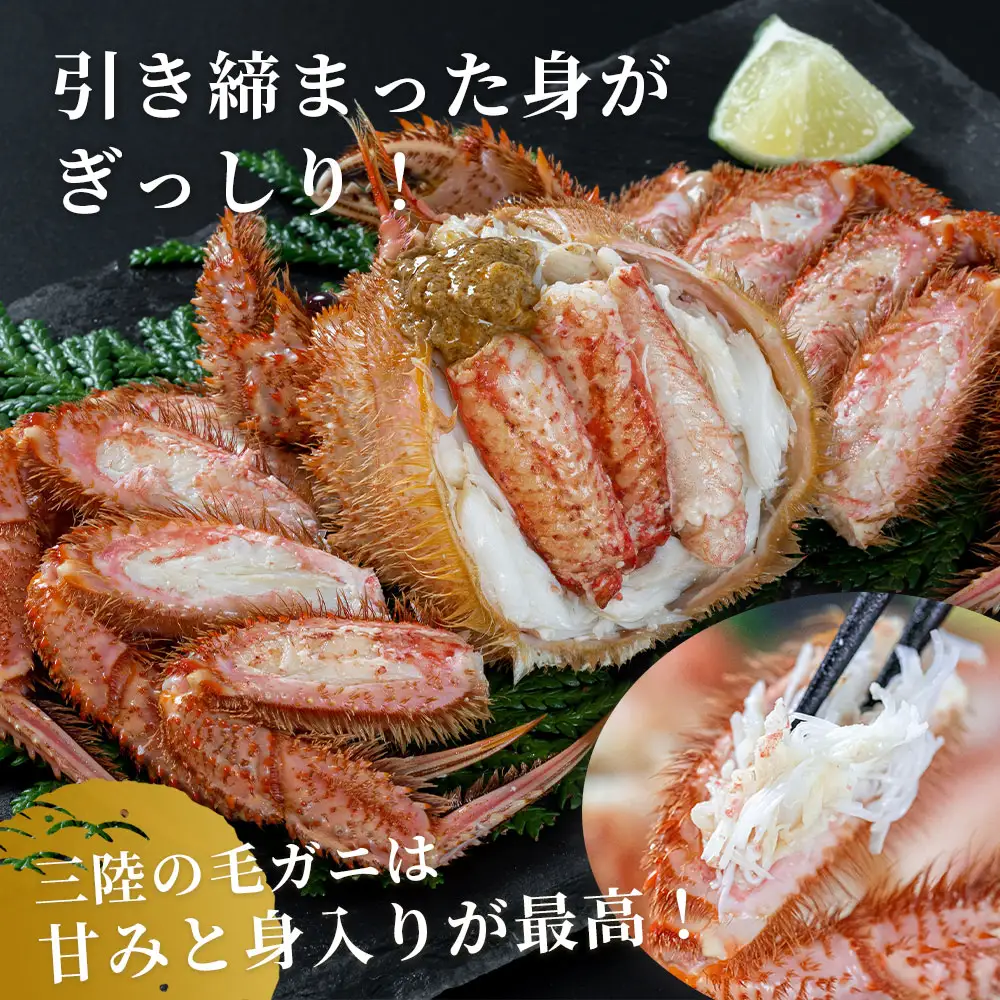 fn-40-016【出荷前にお電話します！】 活毛ガニ 3杯 （260g～360g×3） 三陸産【令和9年2月上旬～4月頃お届け】ヤマコー片桐鮮魚店