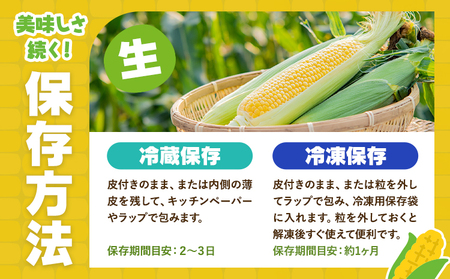 とうもろこし スイートコーン 10本 とうもろこし