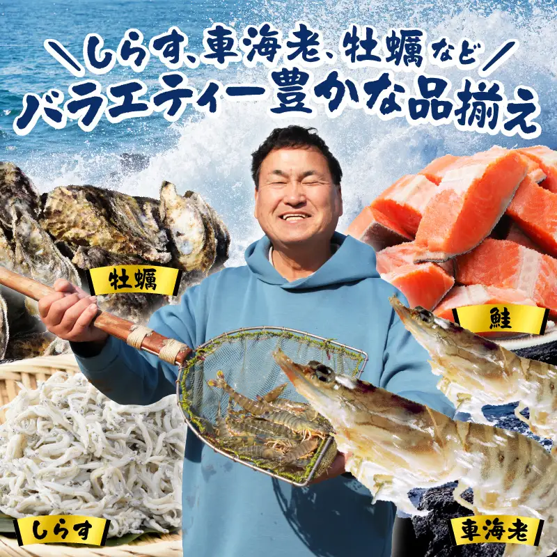 銀鮭 切り身 1kg