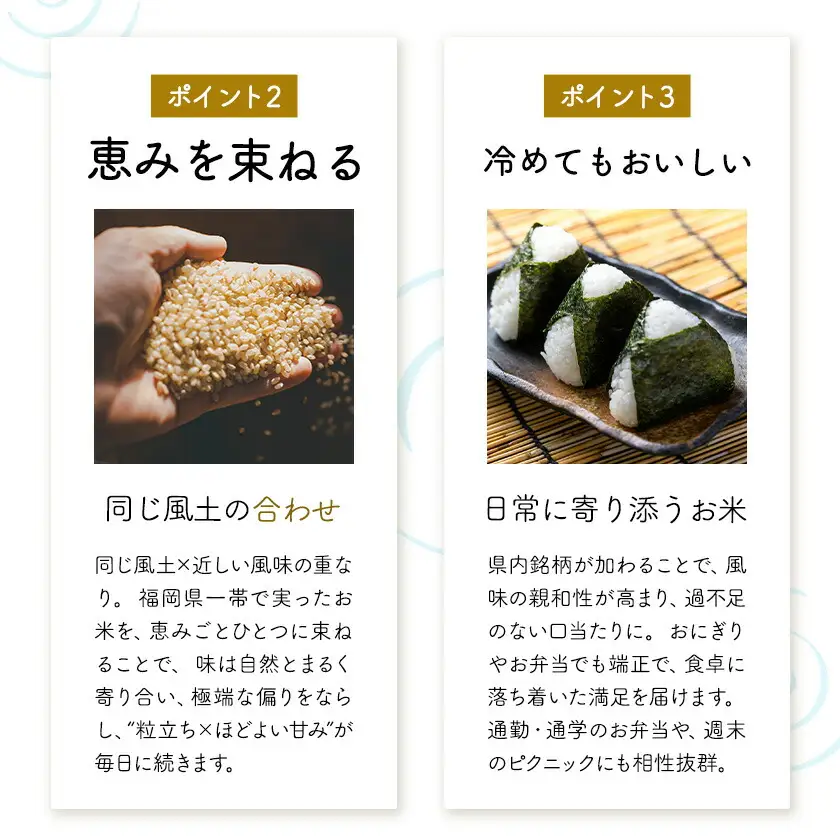 ふくおかみのり米 20kg 白米 《1-14日以内に出荷予定(土日祝除く)》 お米 ごはん ご飯 rice kome