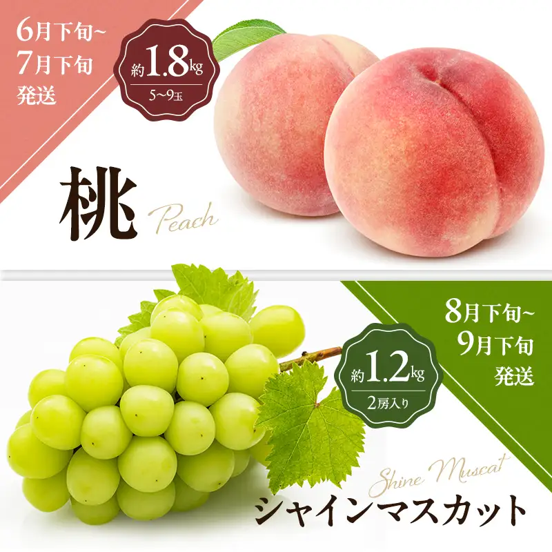 「生活応援企画！」讃岐のフルーツ6回定期便【C】【さぬきひめ苺】【デコポン】【桃】【シャインマスカット】【香緑キウイ】【小原紅(さぬき紅みかん)】