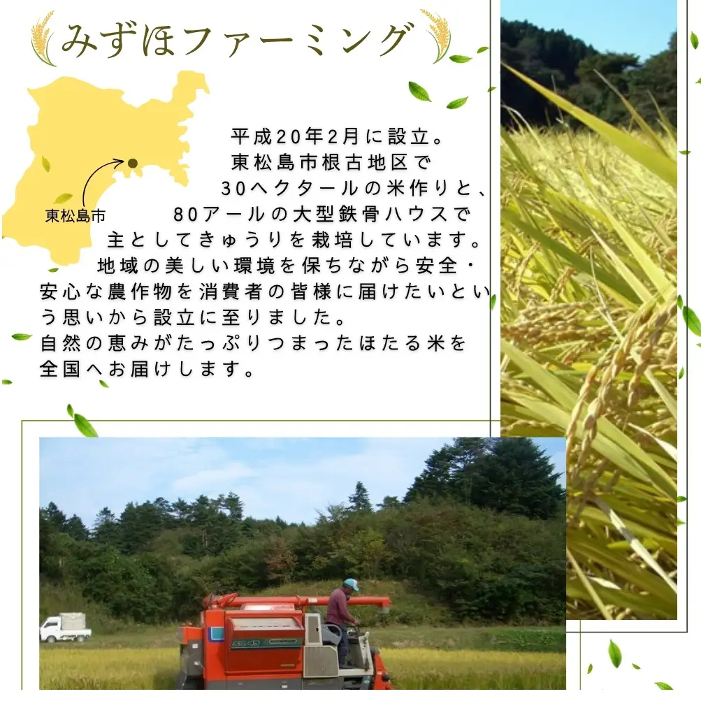 【先行予約】【令和8年産】【新米】【令和8年10月中旬～順次発送】ほたる米 ひとめぼれ 玄米 30kg 特別栽培米 宮城県産 お米 ごはん 米 朝ごはん こめ コメ オンラインワンストップ 対応 自治体マイページ 宮城県 みずほファーミング