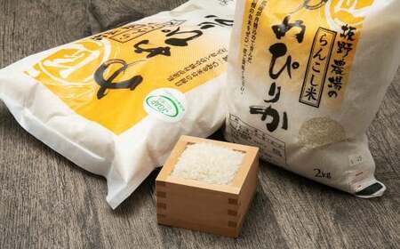 【5ヶ月定期便】らんこし米 ゆめぴりか 5kg【2024年9月下旬発送開始予定】