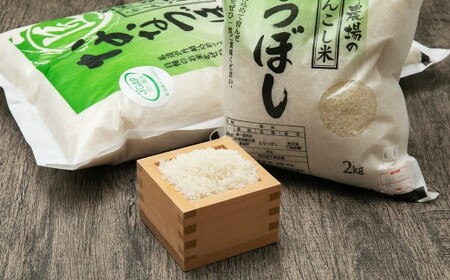 【5ヶ月定期便】らんこし米 ななつぼし 2kg【2024年9月下旬発送開始予定】