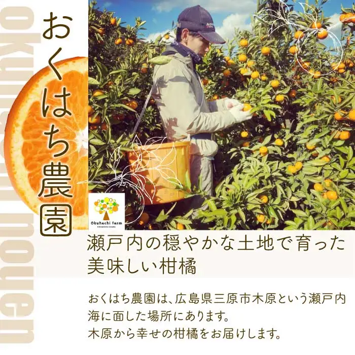 石地みかん 5kg 《2026年12月発送予定》栽培期間中 防腐剤 ワックス 不使用 おくはち農園 旬 柑橘 かんきつ フルーツ 果物 瀬戸内 166004