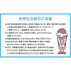 【2026年発送】岡山県産 あたご梨2玉 青秀以上 (計約1.4kg)化粧箱入り
