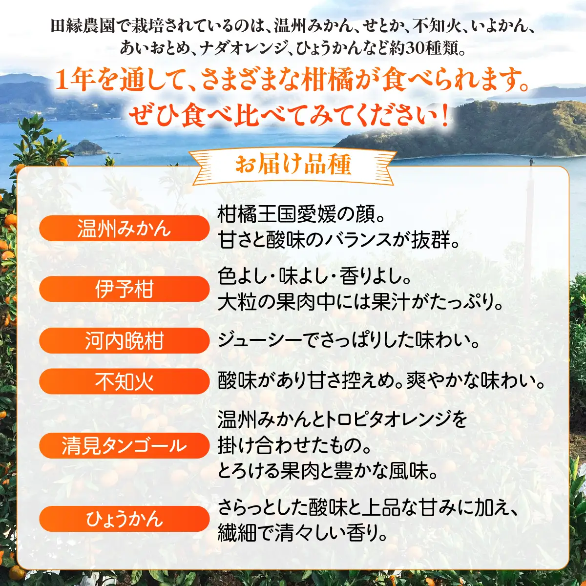 【6ヶ月定期便】田縁農園 6種みかんジュースセット 各2本セット×全6回 みかん いよかん 河内晩柑 不知火 きよみ ひょうかん IKTA051