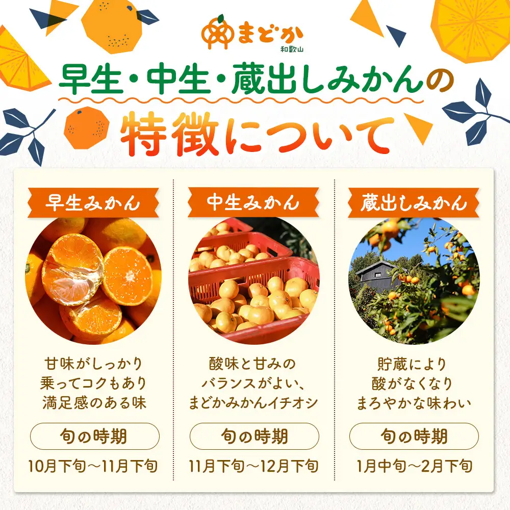 ［先行予約］［贈答用］秋採れみかん（早生みかん）2L〜3Lサイズ混合 10kg＋500g（傷み補償分）［2026年11月上旬より発送］