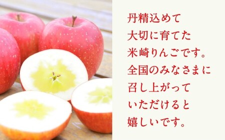 りんご 約2.5kg 【 品種 ふじ 】 果物 米崎りんご マルキヨファーム
