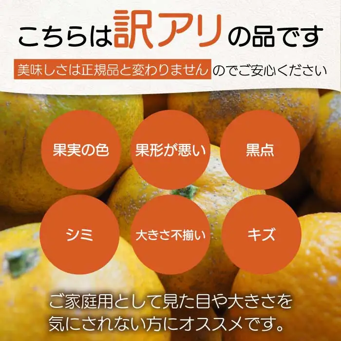 【おくはち農園】〈訳あり〉不知火 （しらぬい）2.5kg  《2027年3月～4月発送予定》栽培期間中 防腐剤 ワックス 不使用 旬 柑橘 かんきつ デコポン フルーツ 果物 瀬戸内 166009 